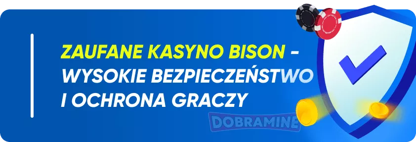 Funkcje bezpieczeństwa Bison Casino: Licencja i Regulamin